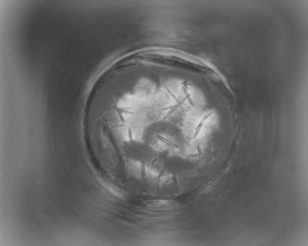 X0000071760151200607220018