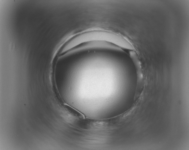 X0000071760152200607220018