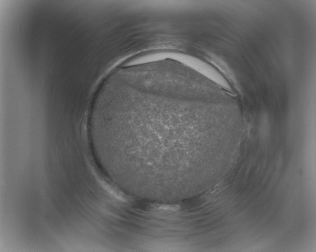 X0000071760155200607220019