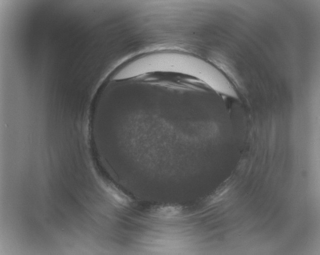 X0000071760156200607220019