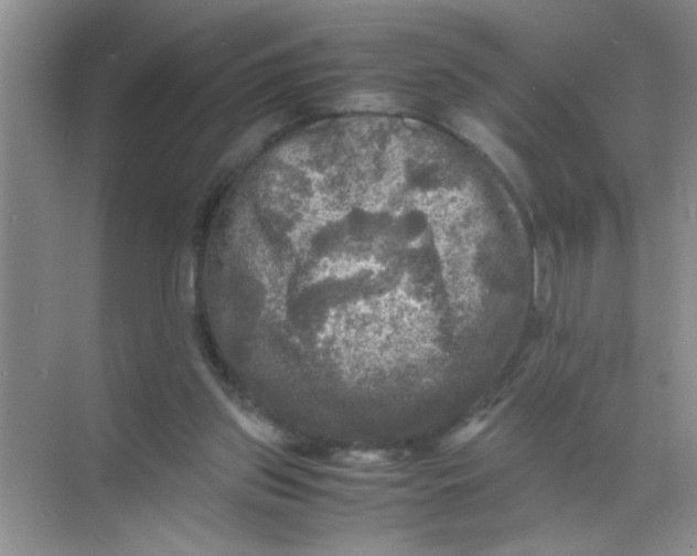 X0000071760157200607220019