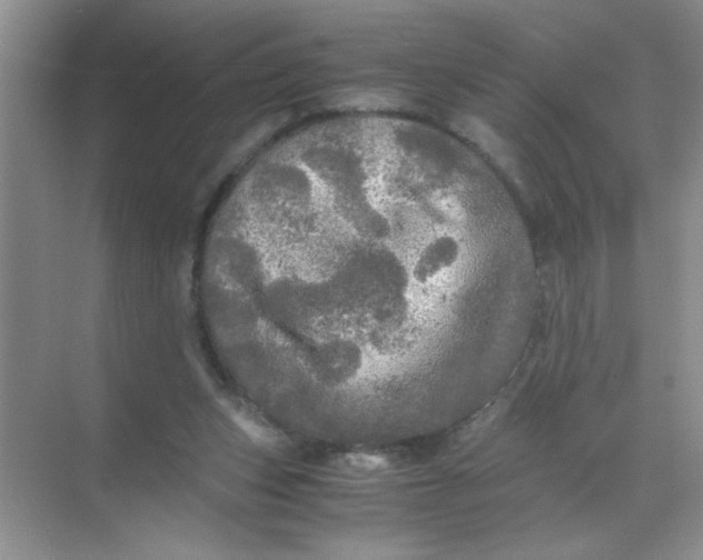 X0000071760159200607220019