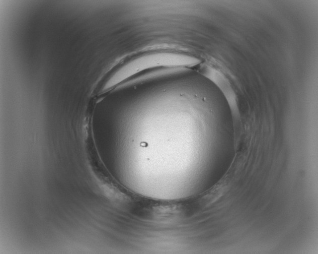 X0000071760160200607220019