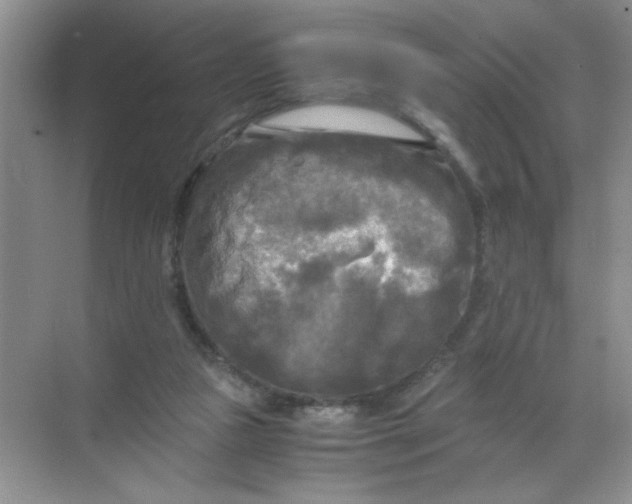 X0000071760161200607220019