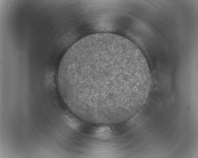 X0000071760162200607220019