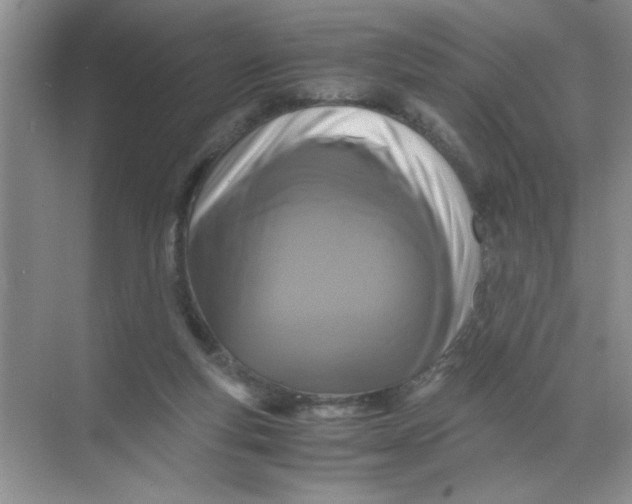 X0000071760163200607220019