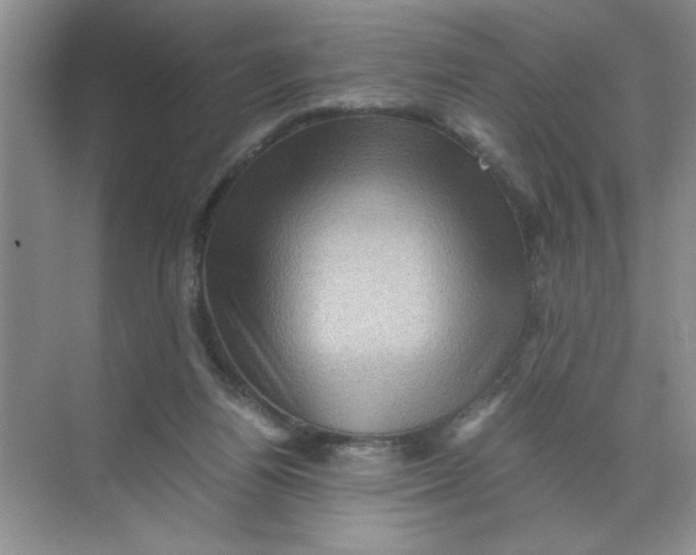 X0000071760164200607220019