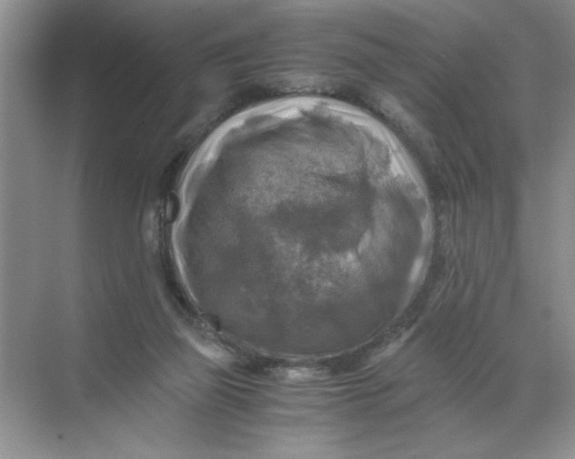 X0000071760165200607220019