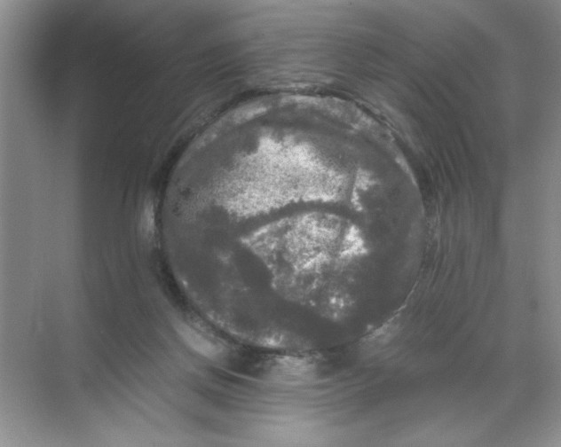 X0000071760166200607220019