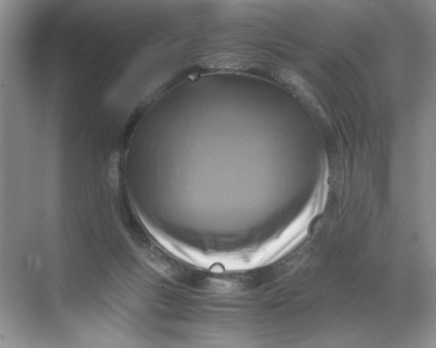 X0000071760167200607220019