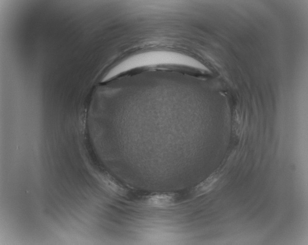 X0000071760168200607220019