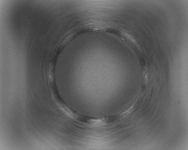 X0000071760170200607220019