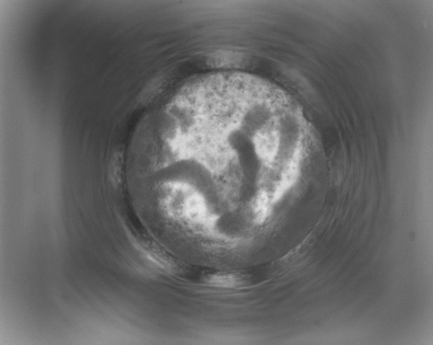 X0000071760171200607220019