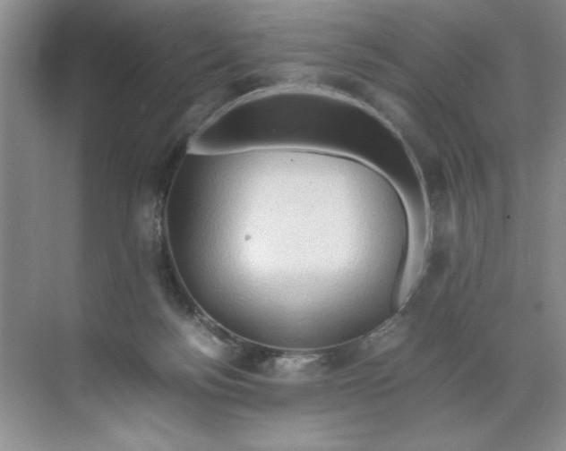 X0000071760172200607220019