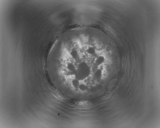 X0000071760173200607220019