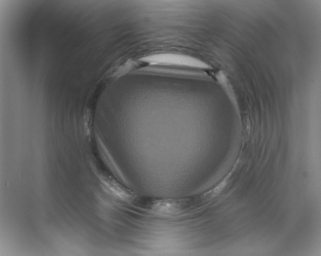 X0000071760174200607220019