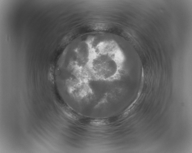 X0000071760175200607220019