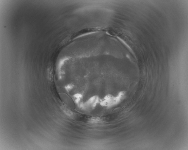 X0000071760177200607220019