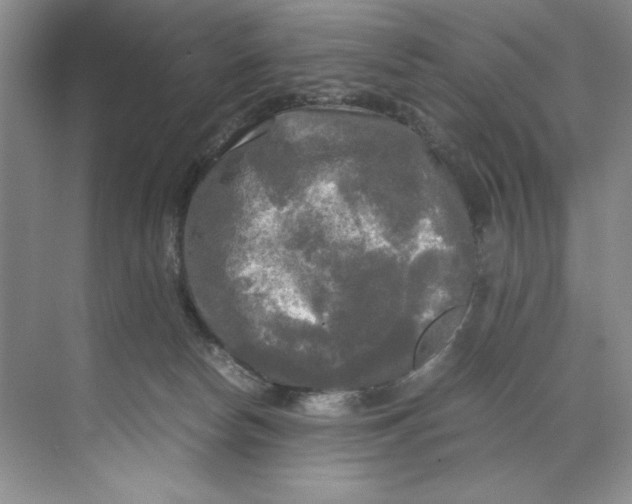 X0000071760178200607220019