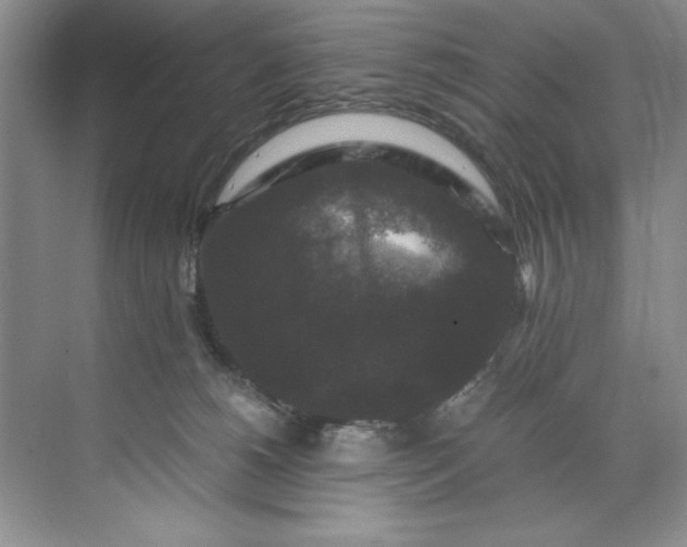 X0000071760180200607220019