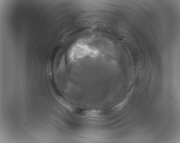 X0000071760182200607220019