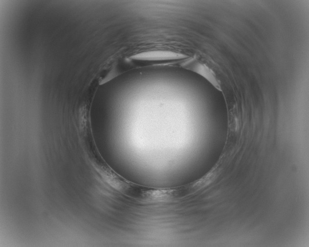 X0000071760184200607220019