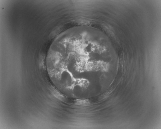 X0000071760185200607220019