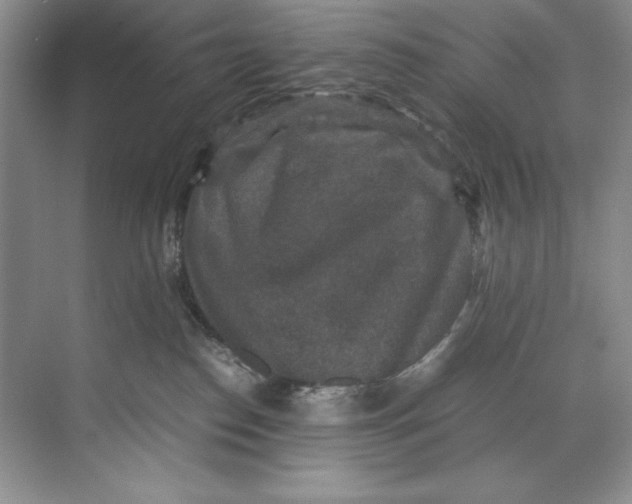 X0000071760186200607220019