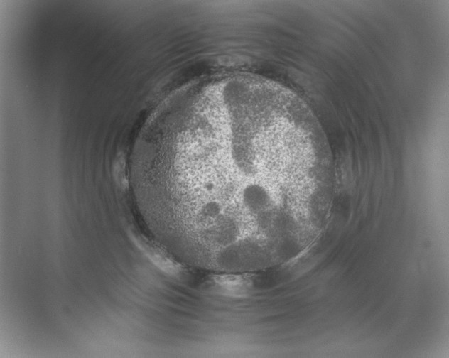 X0000071760187200607220019