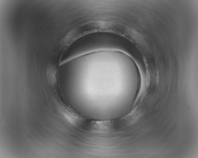 X0000071760188200607220019