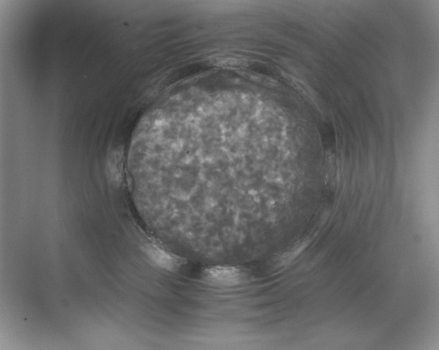 X0000071760189200607220019