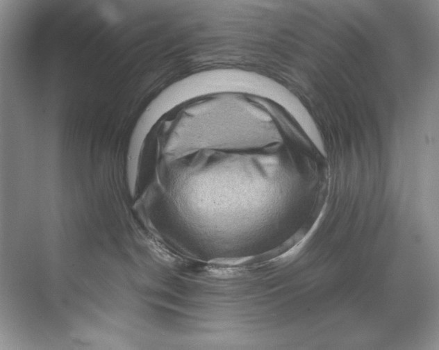 X0000071760190200607220019