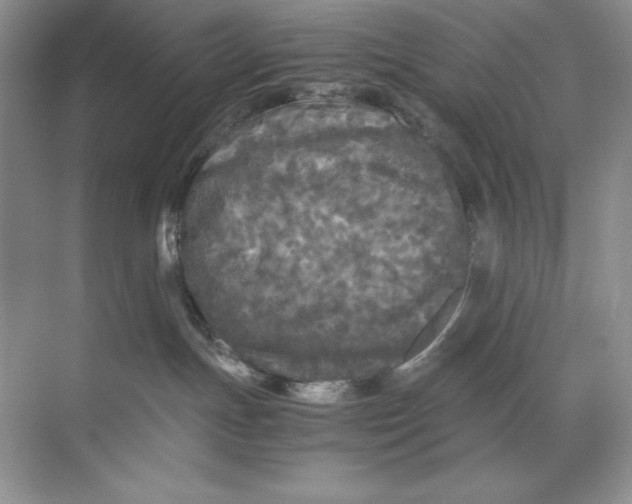 X0000071760191200607220019