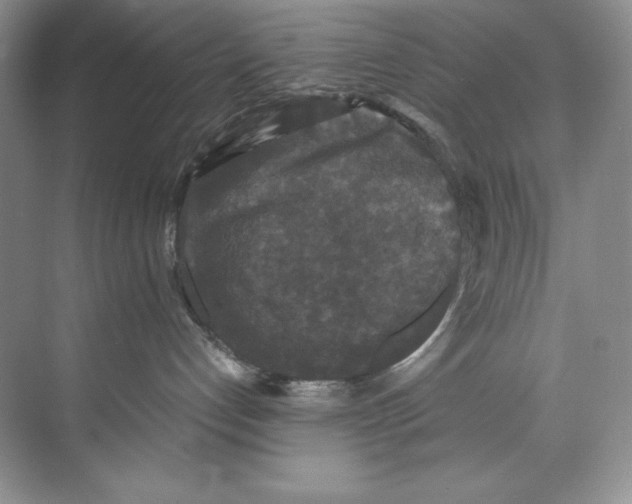 X0000071760192200607220019