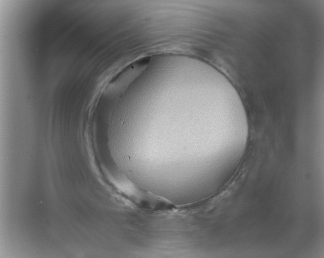 X0000071760193200607220018