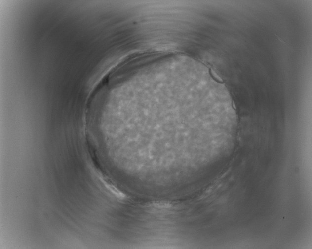 X0000071760194200607220018