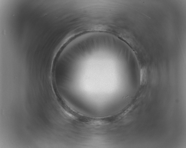 X0000071760195200607220018