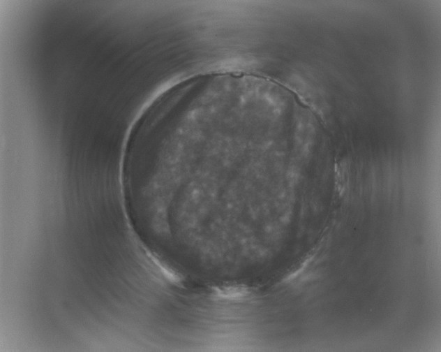 X0000071760196200607220018