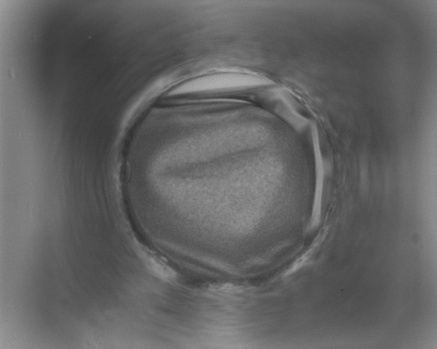 X0000071760197200607220018