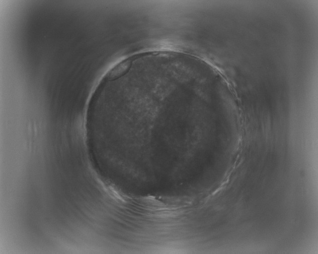 X0000071760200200607220018