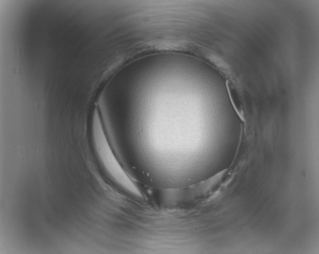 X0000071760201200607220018