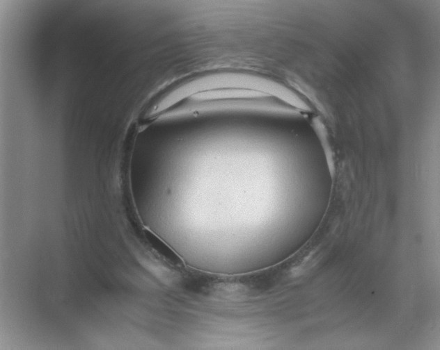 X0000071760203200607220018