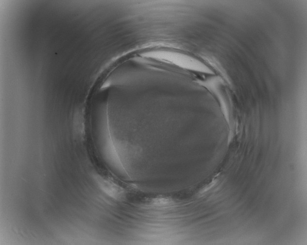 X0000071760204200607220018