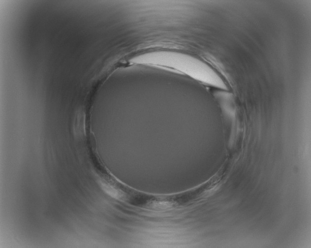 X0000071760205200607220018