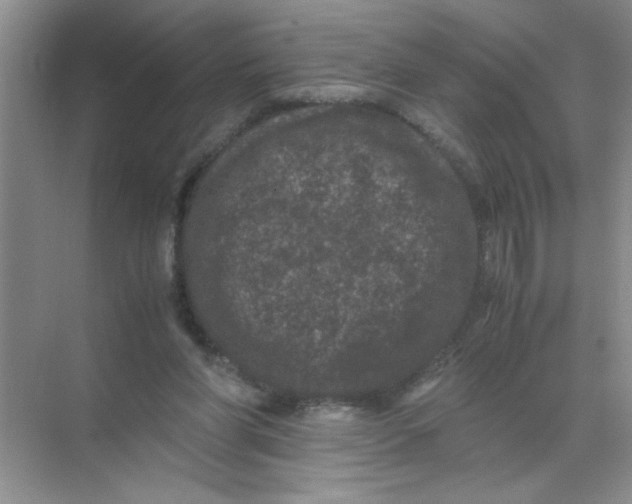 X0000071760206200607220018