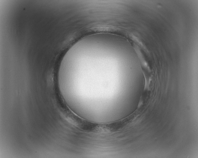 X0000071760207200607220018