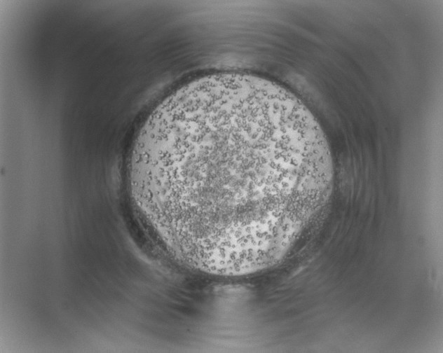 X0000071760208200607220018