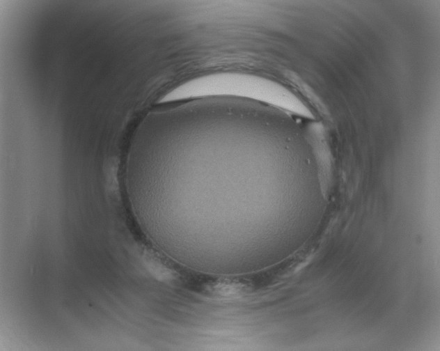 X0000071760209200607220018