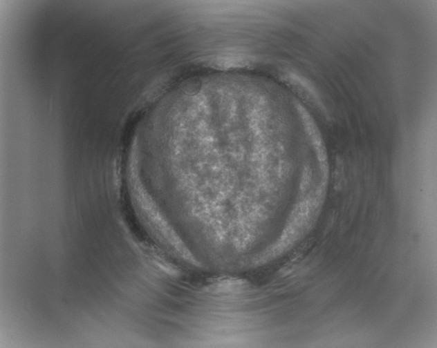 X0000071760210200607220018