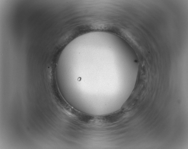 X0000071760211200607220018